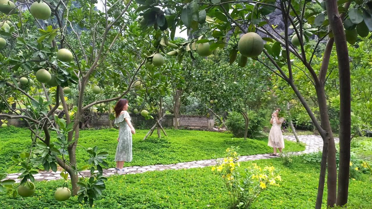Yen Binh Homestay Ninh Binh Exterior foto